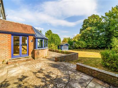 Picture 11